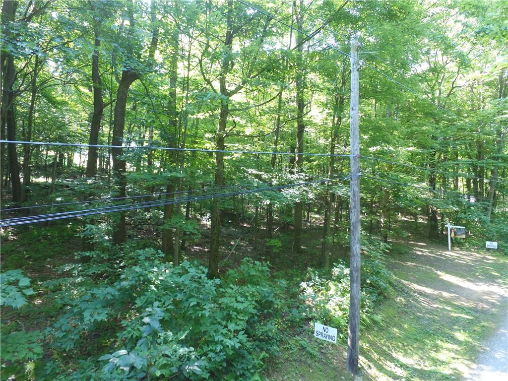 1563 Mount Zion Road Normalville, PA 15469 - Photo 10 of 11 a view of a garden