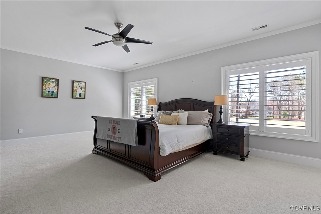 14424 Riverside Drive Ashland, VA 23005 - Photo 29 of 40 Bedroom featuring light colored carpet, ornamental