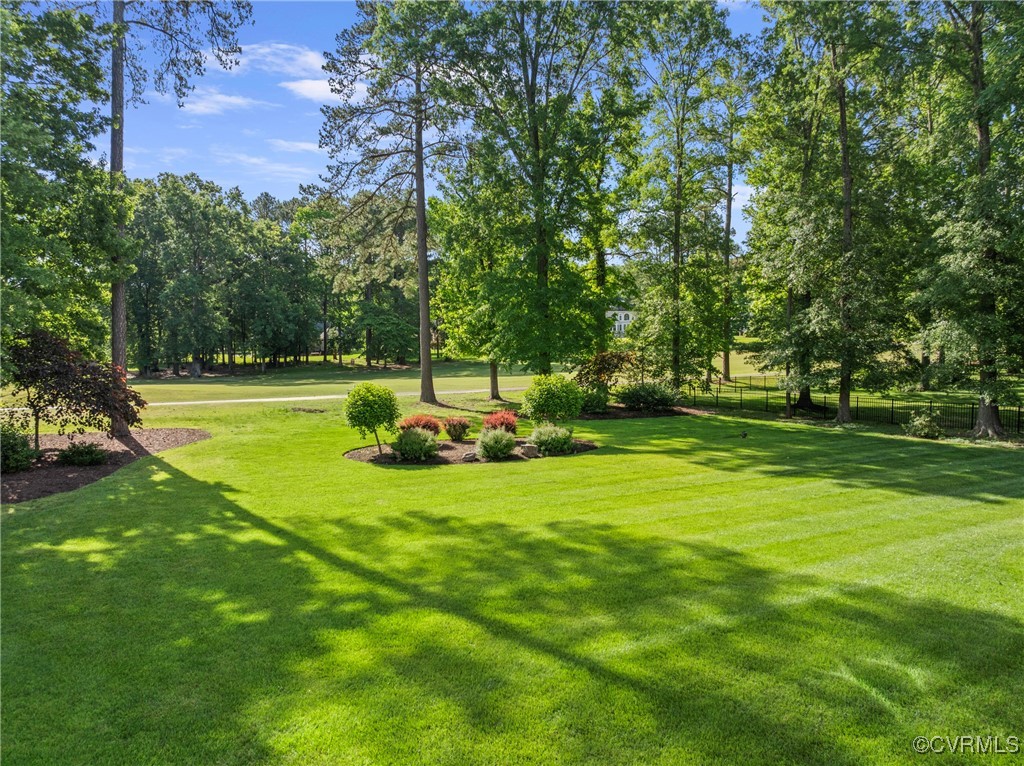 14424 Riverside Drive Ashland, VA 23005 - Photo 38 of 40 View of green lawn featuring view of scattered tre
