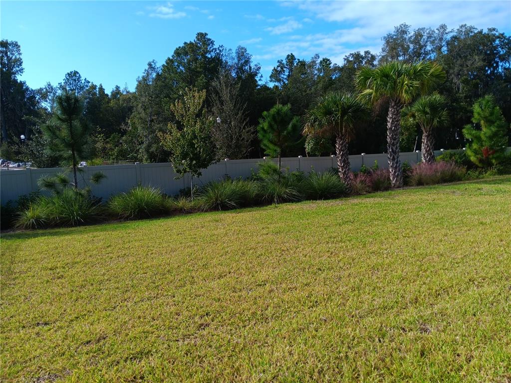 5433 Southwest 44th Ct Road Ocala, FL 34474 - Photo 23 of 24 a view of a green field
