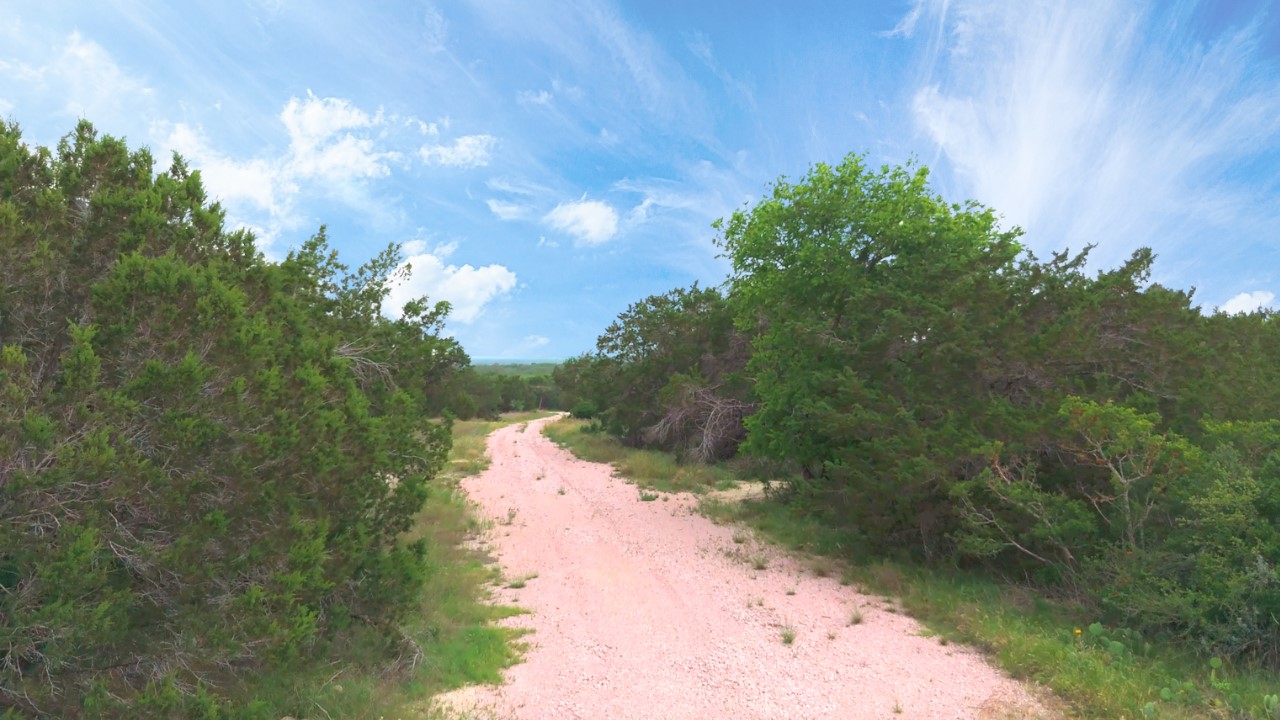 251 Post Mountain Road Burnet, TX 78611 - Photo 3 of 5 a backyard of a house with lots of green space