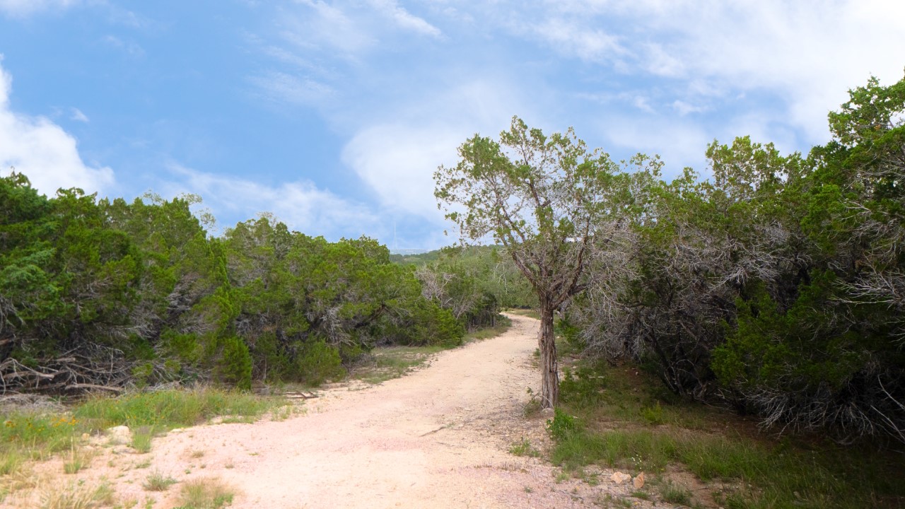 251 Post Mountain Road Burnet, TX 78611 - Photo 5 of 5 a view of a yard with a tree