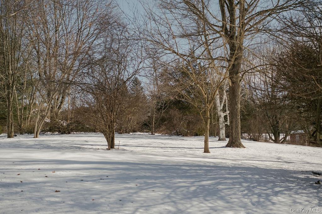 1539 Hollow Road Clinton Corners, NY 12514 - Photo 18 of 18