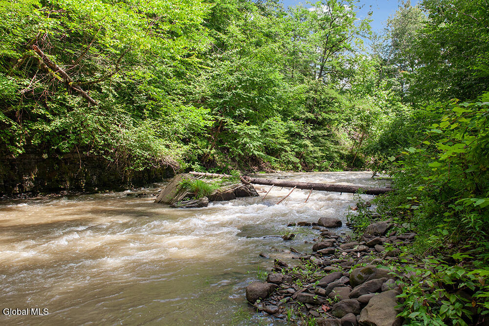 137 Creamery Road Blenheim, NY 12131 - Photo 16 of 16 FS_LT_071423_0071