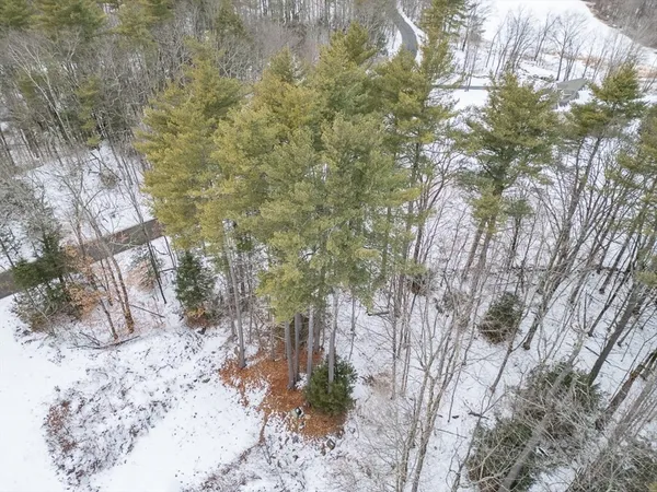 a view of a tree with a yard