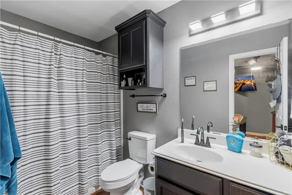 a bathroom with a sink a toilet a mirror and shower curtain