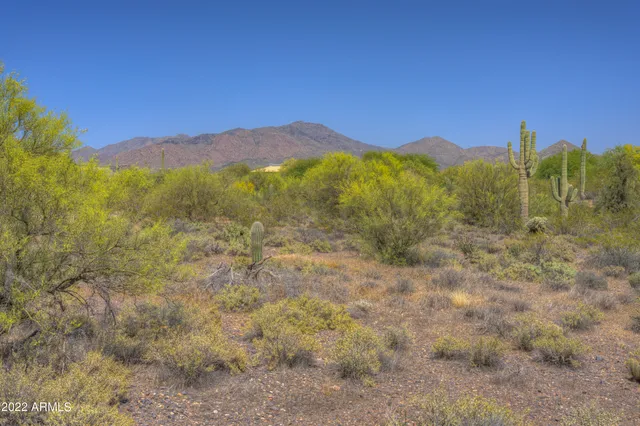 a view of a dry yard with mountains in the background