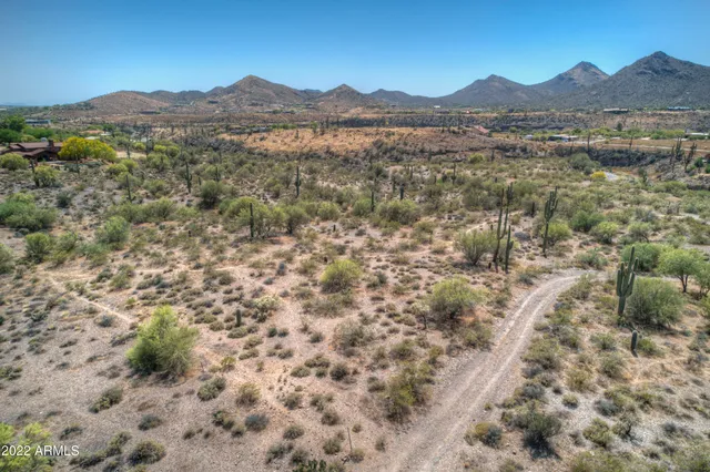 a view of a forest with mountains in the background