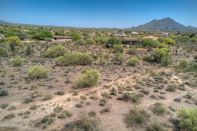 a view of a forest with trees in the background