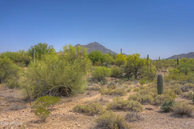 a view of a yard with a house