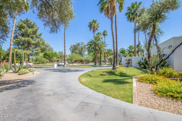 a view of a swimming pool with a lawn chairs under palm trees