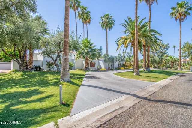 a view of a swimming pool with palm trees