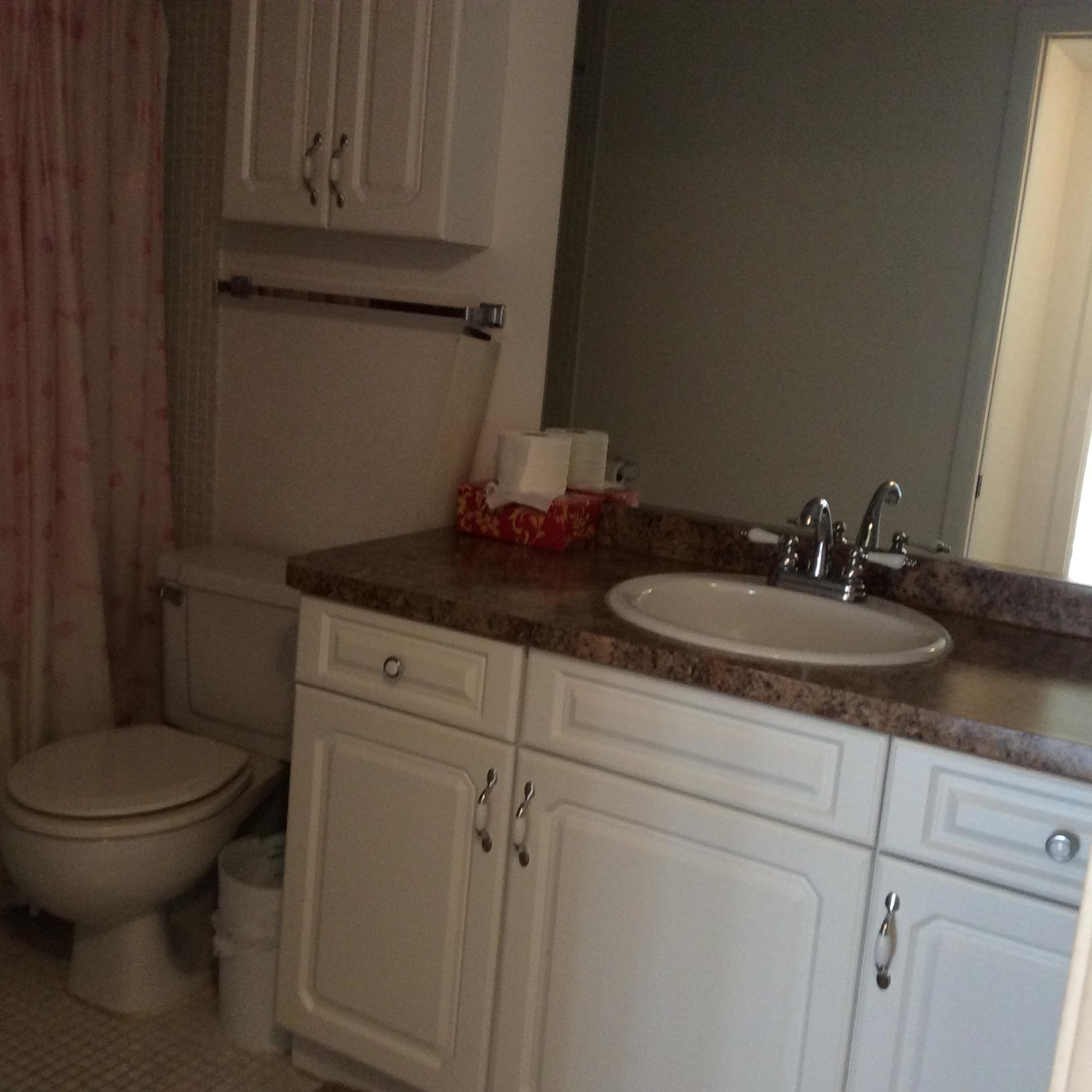 1052 Newcastle A Boca Raton, FL 33434 - Photo 10 of 12 Main Bathroom
