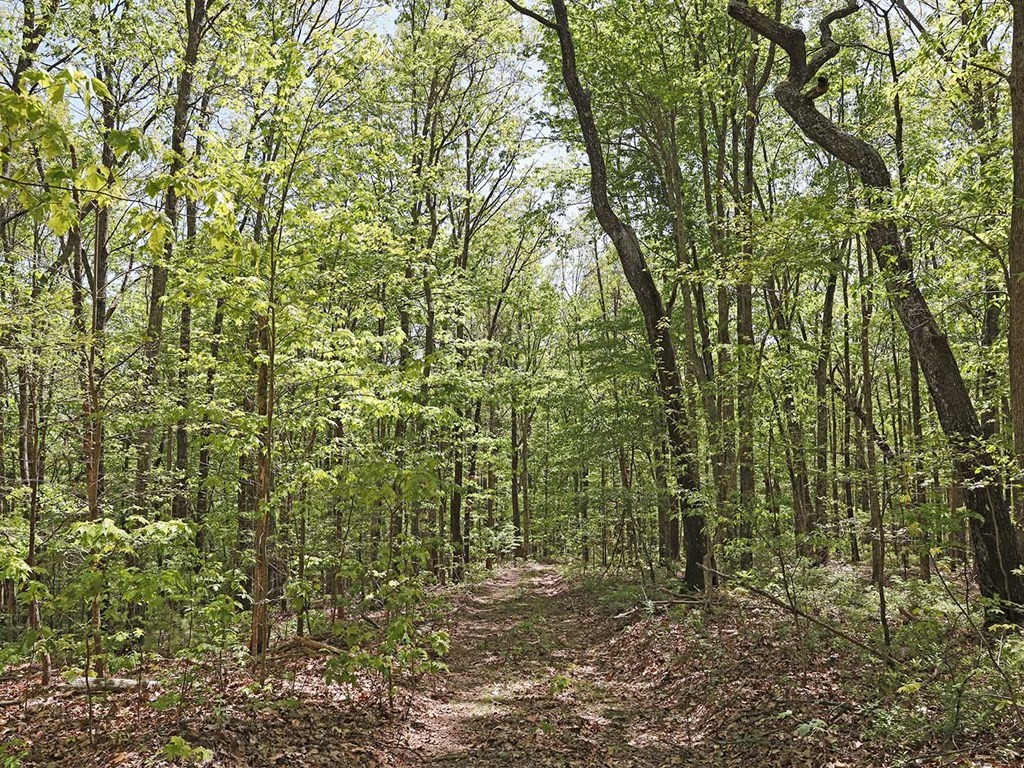 18 Grouse Ridge Road Harriman, TN 37748 - Photo 17 of 21 Gallery Image 17