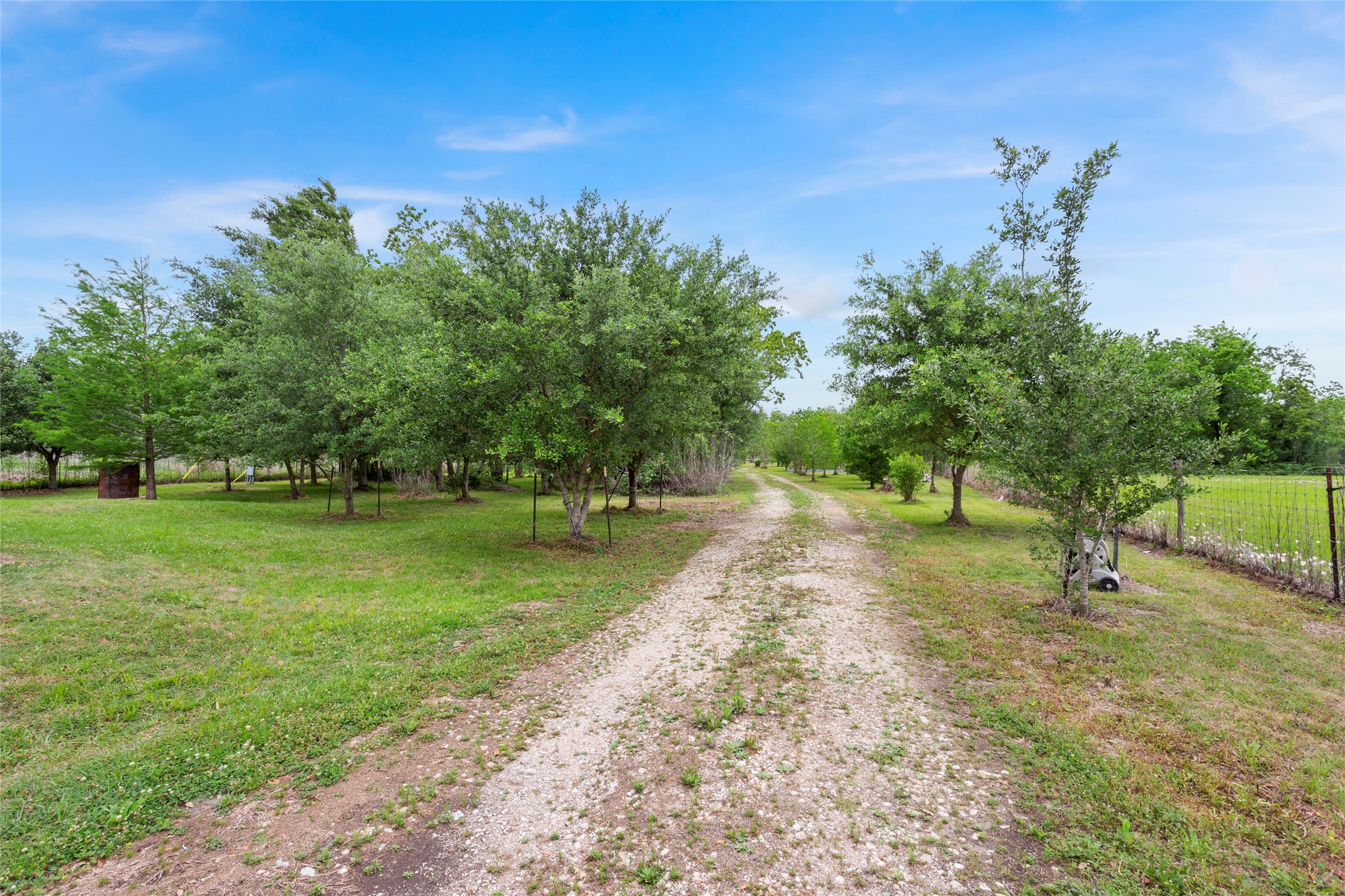 3650 Rivers Road Pearland, TX 77578 - Photo 21 of 22 Multiple beautiful trees, fully fenced and easily accessible via the driveway.