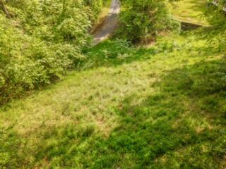 Lot 19-38 Plainview Road Nancy, KY 42544 - Photo 24 of 39 Plain View Photo-10