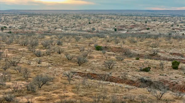 a view of a dry yard
