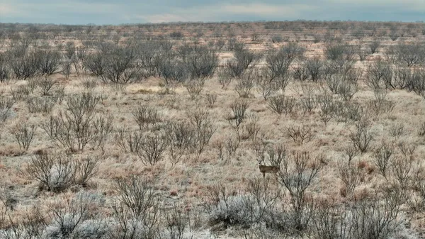 a view of a dry yard