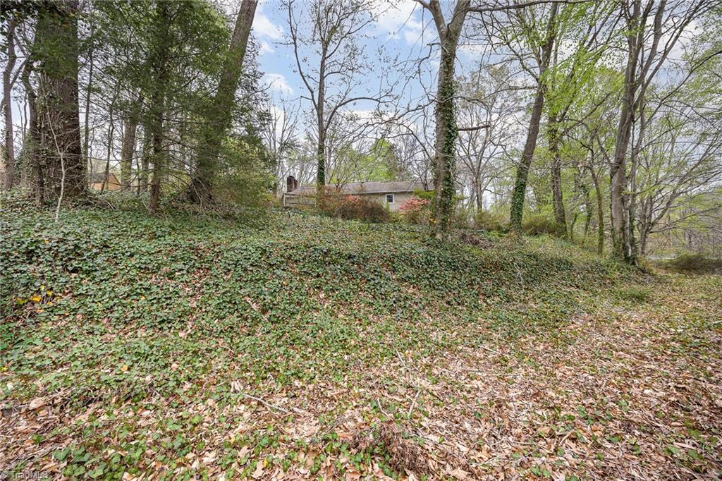 1430 Chesterfield Road Lewisville, NC 27023 - Photo 38 of 39 Gallery Image 38