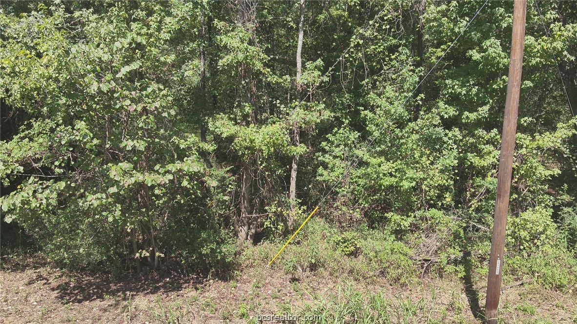 134 Bocaregra Road Leona, TX 75850 - Photo 12 of 13 Gallery Image 12