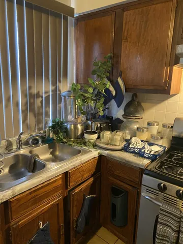 a kitchen with sink a stove and potted plants