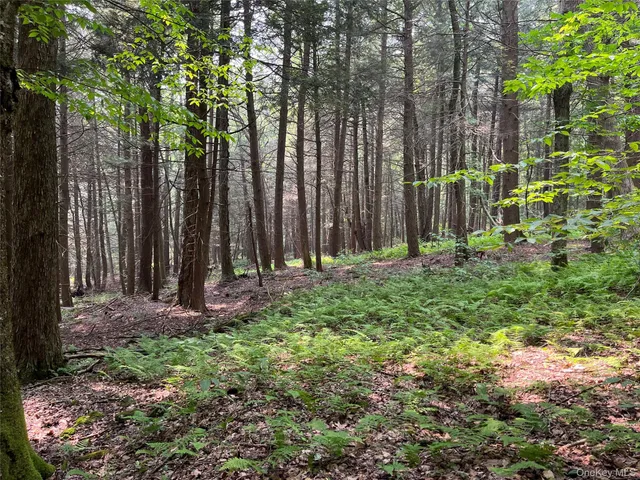 a view of outdoor space with lots of trees