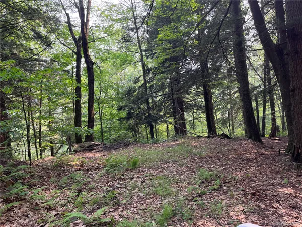 a view of outdoor space