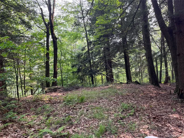 a view of outdoor space