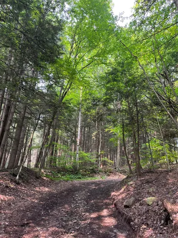 a view of outdoor space and garden