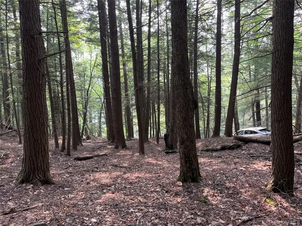 a view of outdoor space and tree