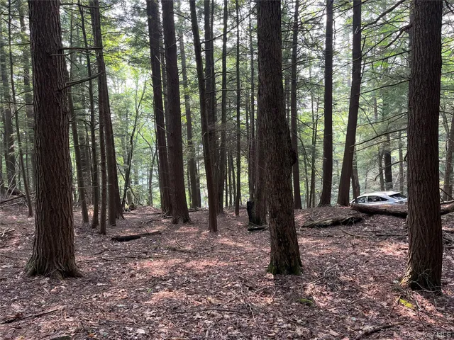 a view of outdoor space and tree