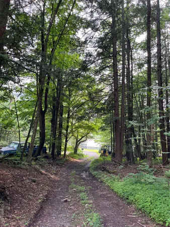 a view of a yard from a window