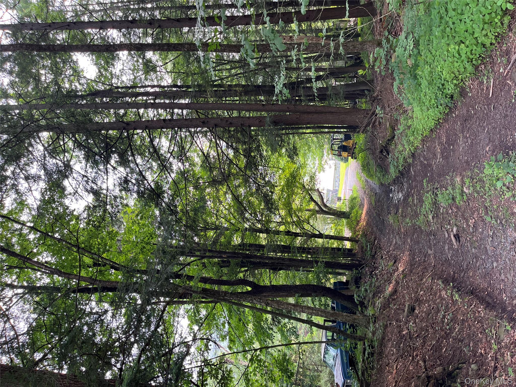 Hood Road Roscoe, NY 12776 - Photo 24 of 27 a view of outdoor space and tree