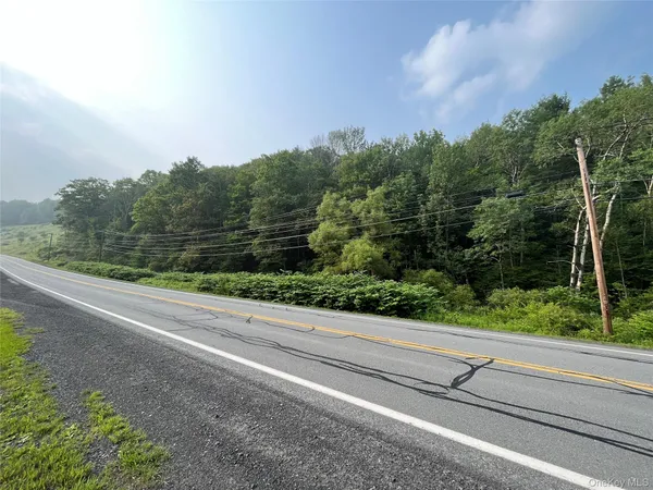 a view of a lush green space
