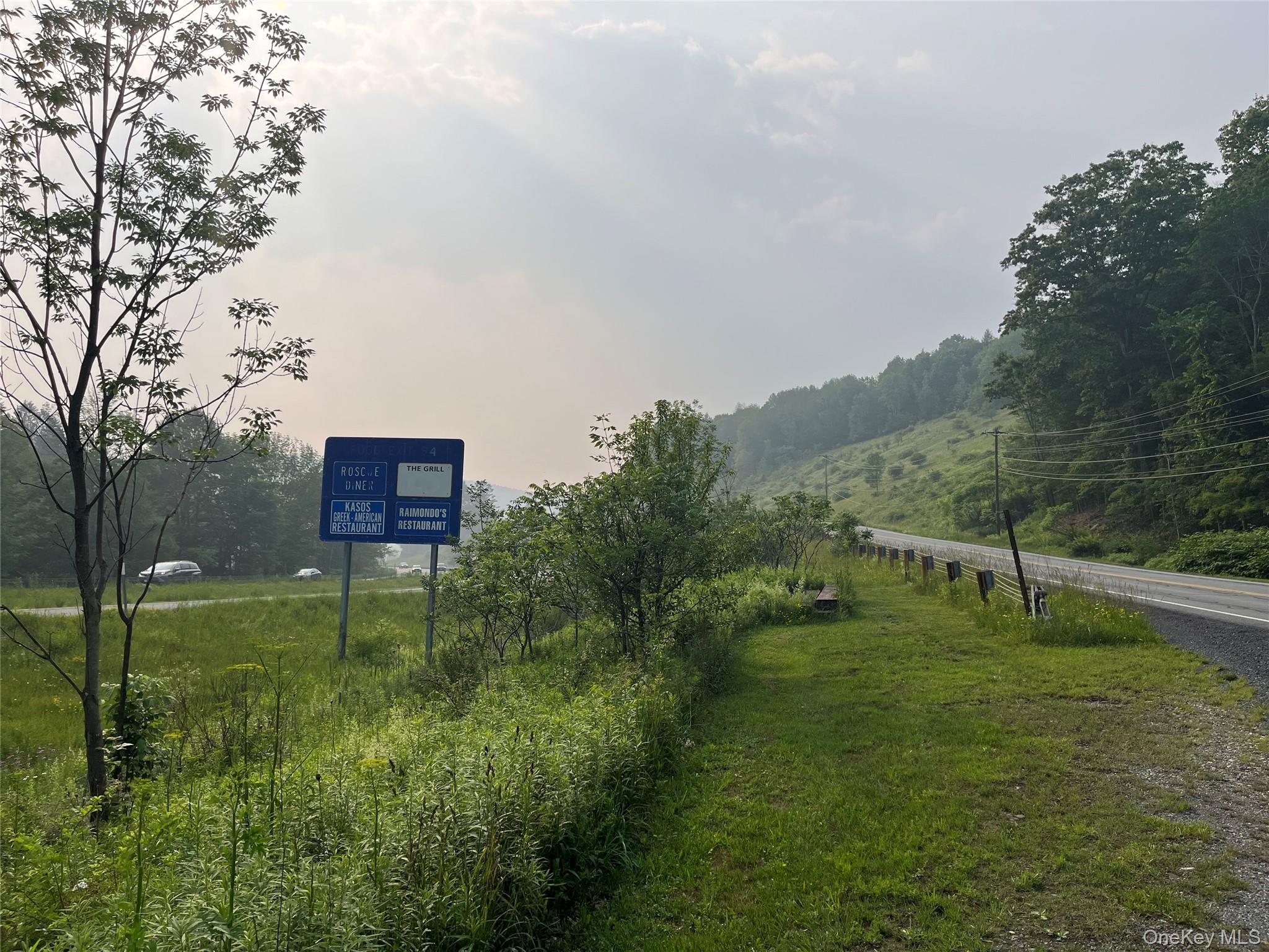 Hood Road Roscoe, NY 12776 - Photo 27 of 27 a view of a lush green space