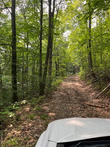 a backyard of a house with lots of trees