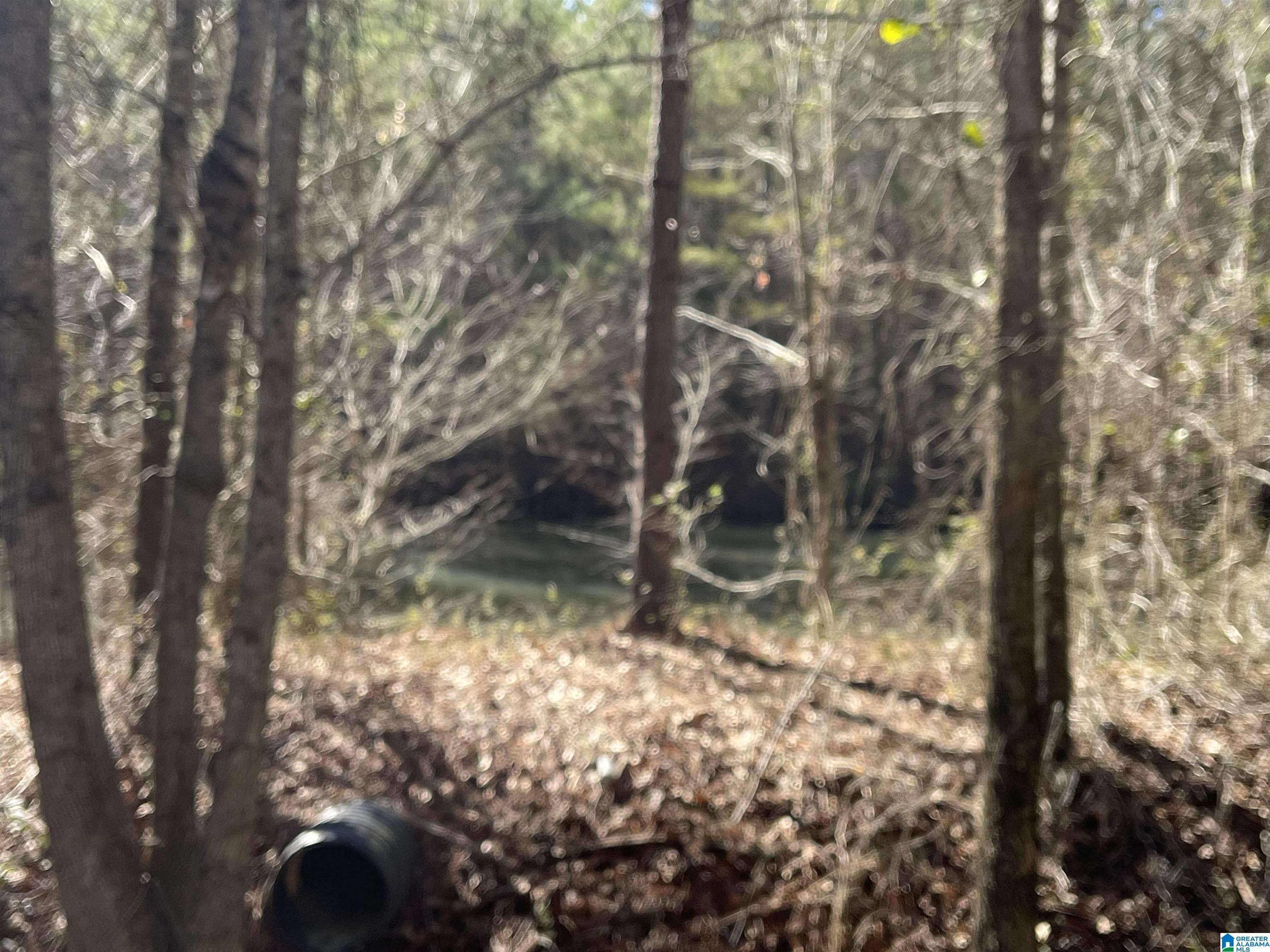 0 Wolf Pond Road, Unit 13 ACRES Talladega, AL 35160 - Photo 2 of 5