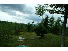 980 Chocorua Road Tamworth, NH 03886 - Photo 5 of 7 Gallery Image 5