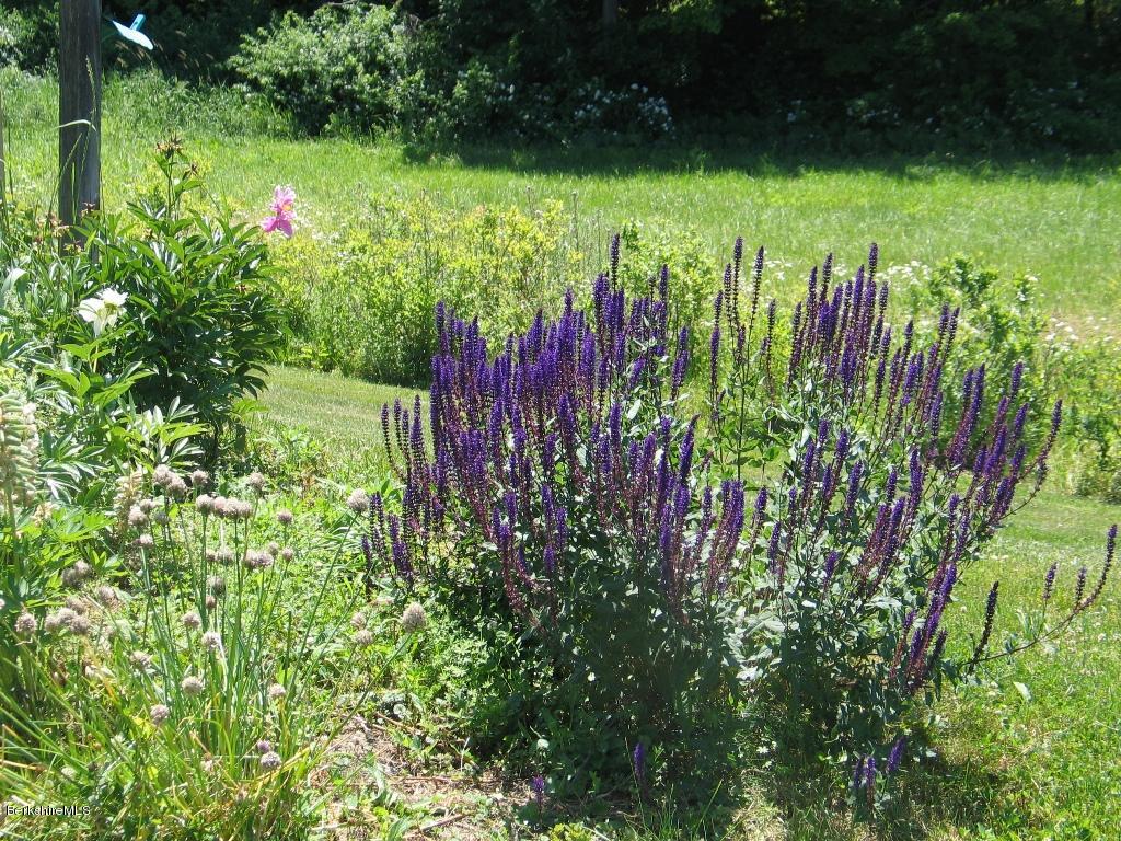 511 Stratton Road Williamstown, MA 01267 - Photo 29 of 44 Gardens 2