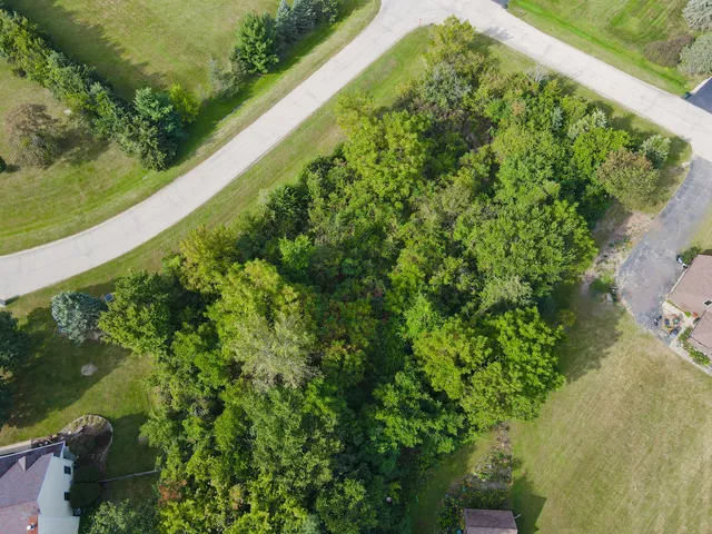 a view of a garden with a lake