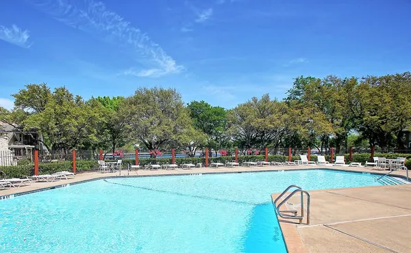 a view of a park with large trees