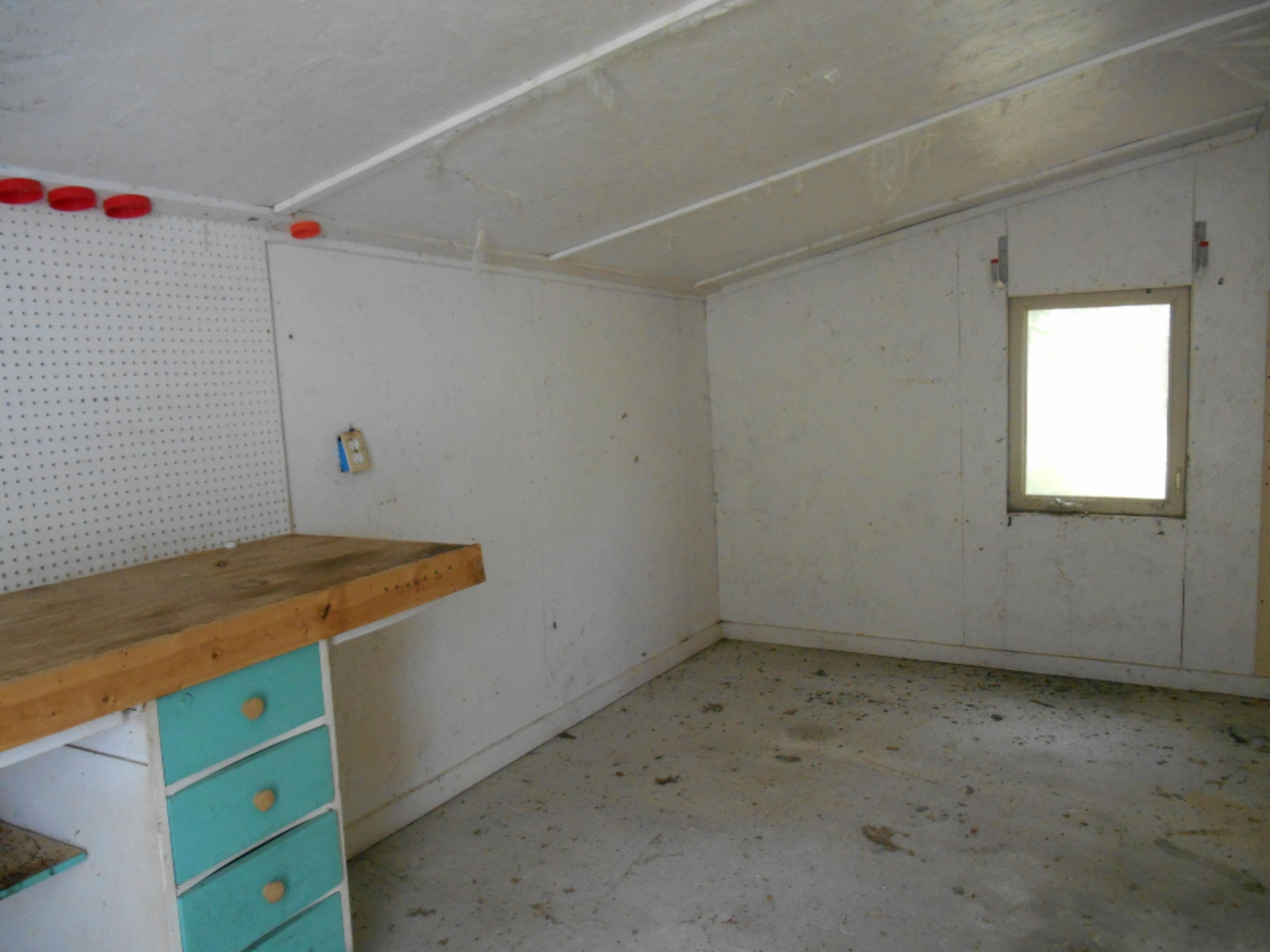 23451 Cutler Road Newaygo, MI 49337 - Photo 12 of 13 DSCN3962