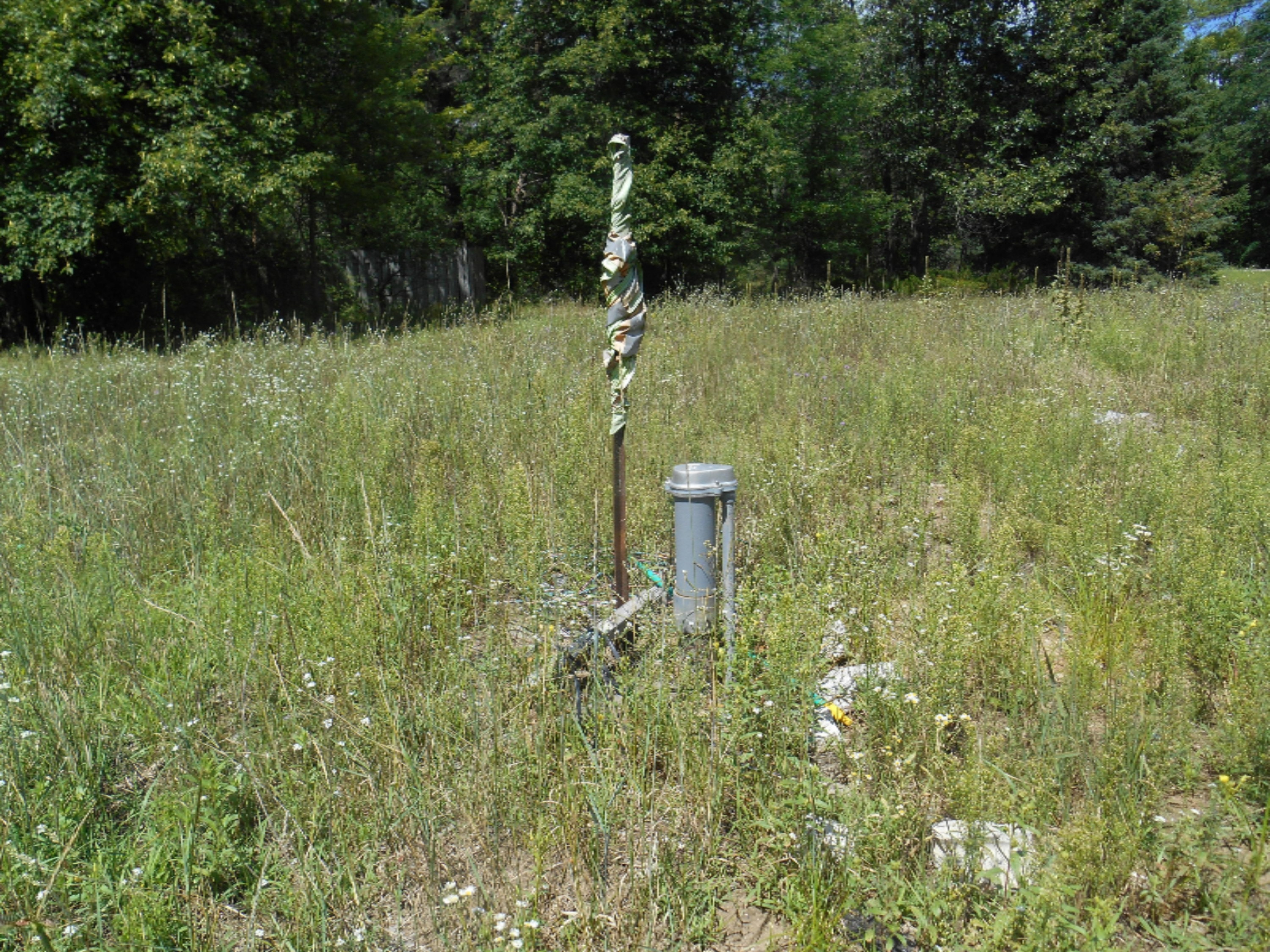 23451 Cutler Road Newaygo, MI 49337 - Photo 3 of 13 DSCN3952