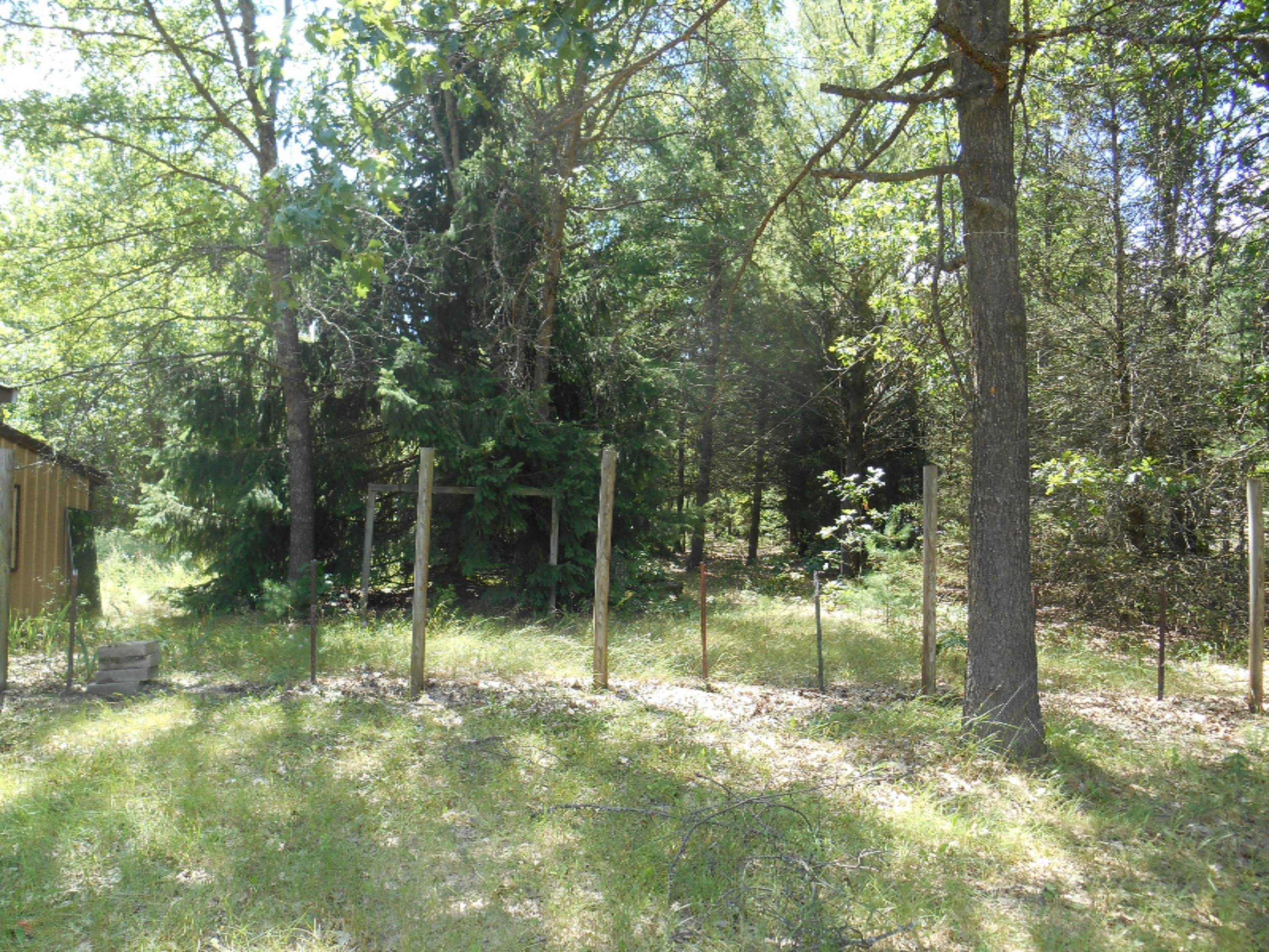 23451 Cutler Road Newaygo, MI 49337 - Photo 4 of 13 DSCN3953