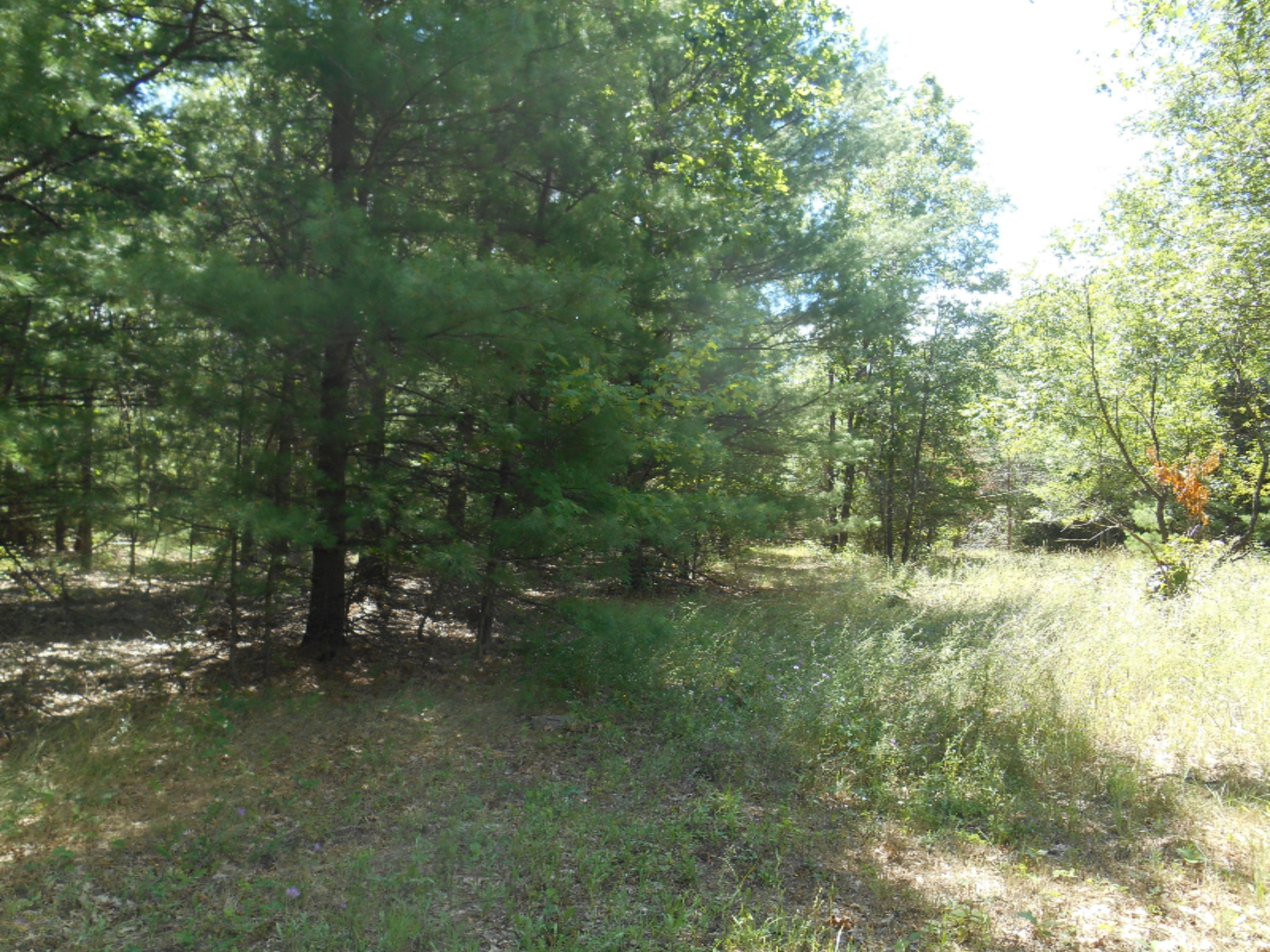 23451 Cutler Road Newaygo, MI 49337 - Photo 5 of 13 DSCN3954
