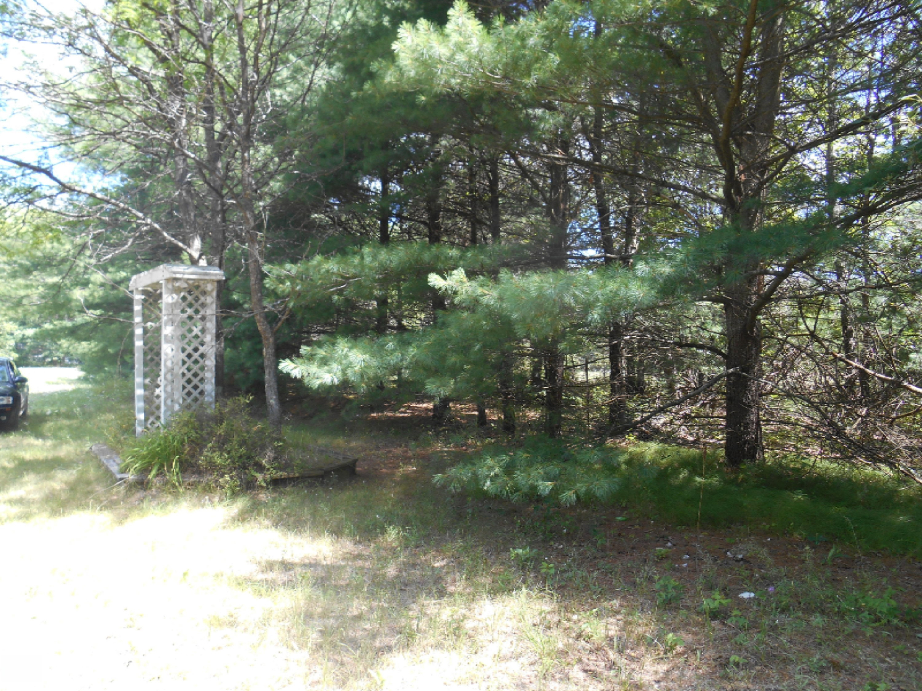23451 Cutler Road Newaygo, MI 49337 - Photo 7 of 13 DSCN3956