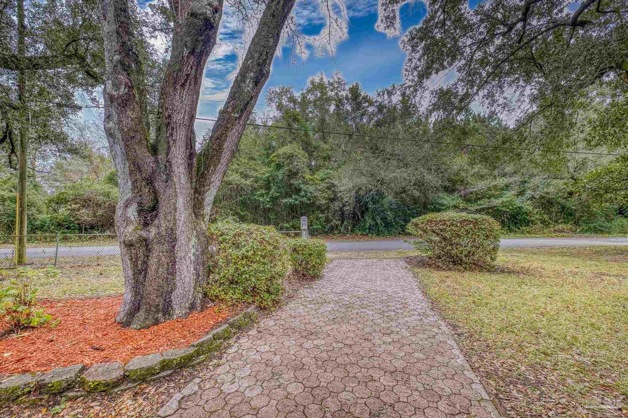 3811 Wilkes Street Pace, FL 32571 - Photo 59 of 59 a view of a trees and yard