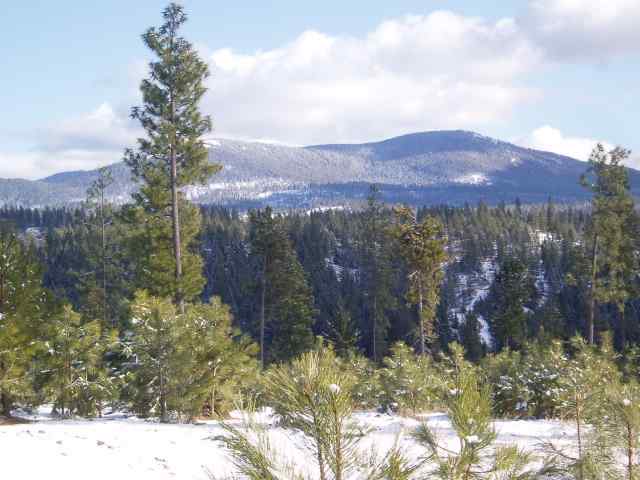 0 East Antler Road Chattaroy, WA 99003 - Photo 2 of 5 Gallery Image 2