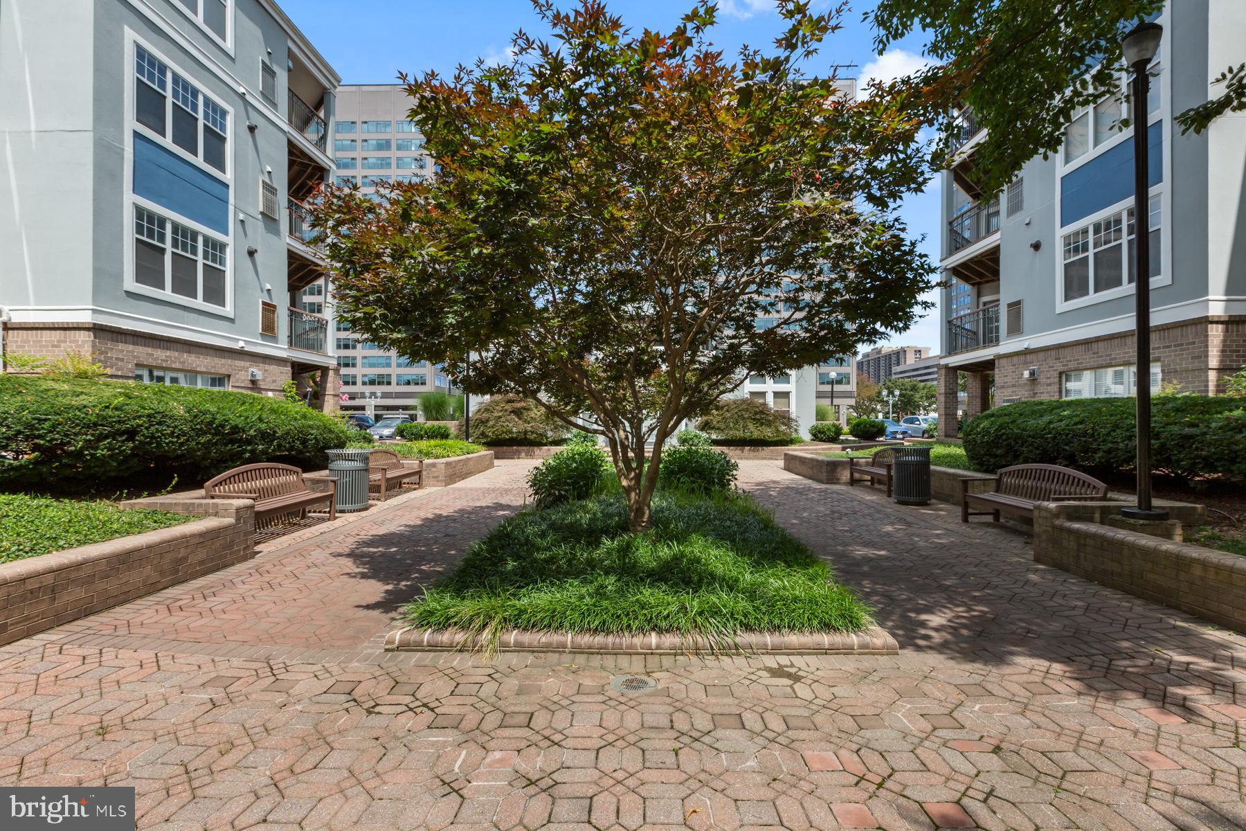 5563 Seminary Road, Unit 109 Falls Church, VA 22041 - Photo 2 of 32