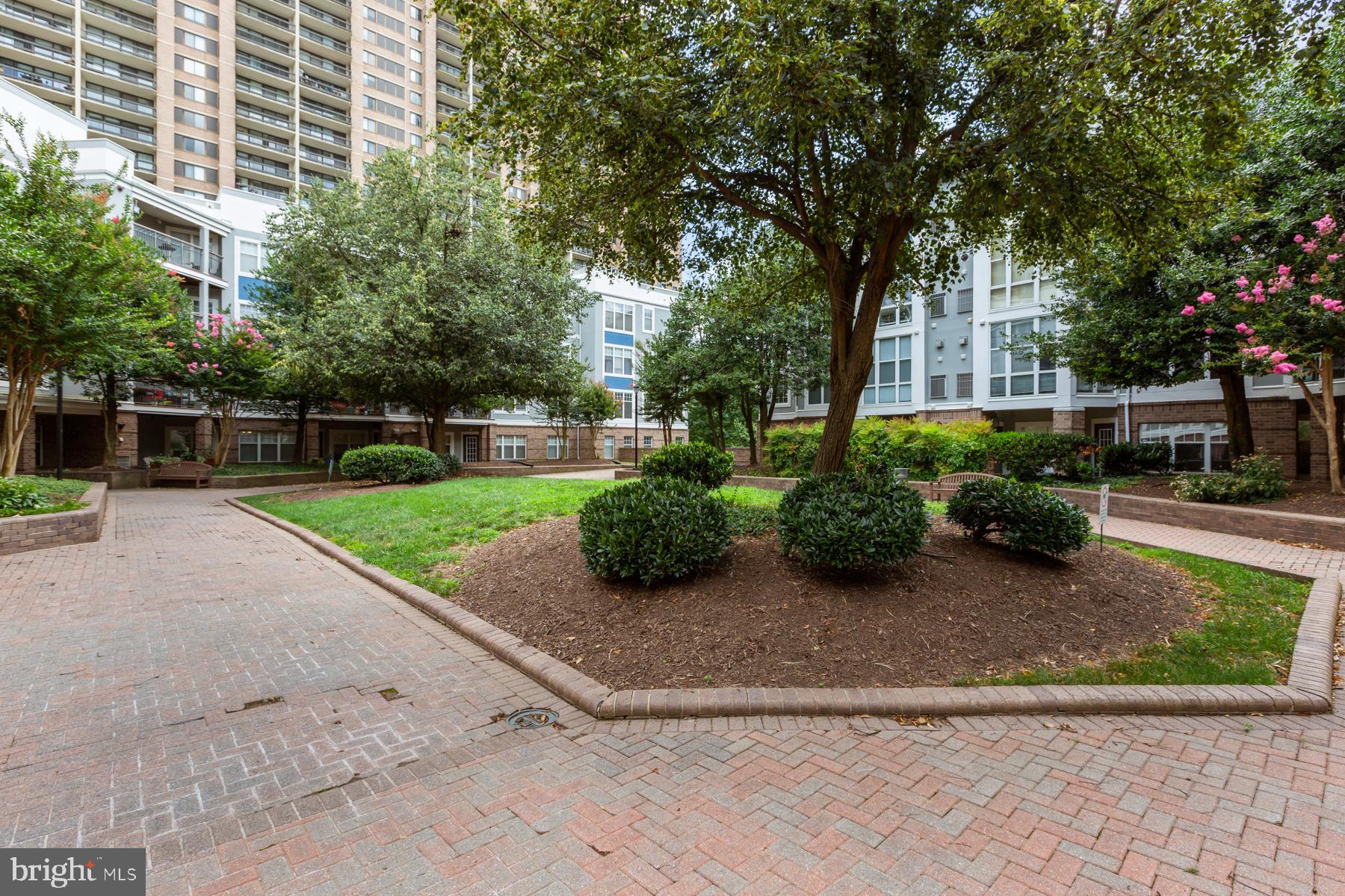 5563 Seminary Road, Unit 109 Falls Church, VA 22041 - Photo 3 of 32